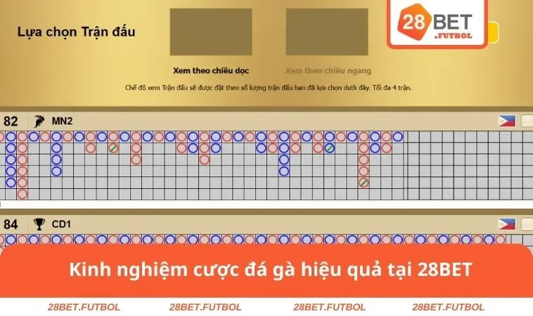Đá gà 28BET 3 Kinh nghiệm cược đá gà hiệu quả tại 28BET