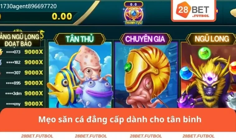 Bắn cá 28BET 3 Mẹo săn cá đẳng cấp dành cho tân binh