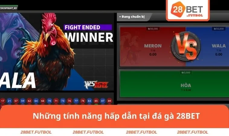 Đá gà 28BET 1 Những tính năng hấp dẫn tại đá gà 28BET